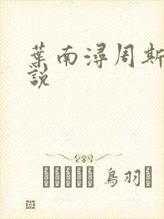 叶南浔周斯年小说