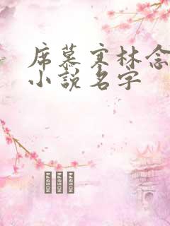 席慕寒林念儿的小说名字