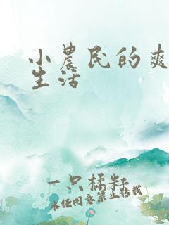 小农民的爽歪歪生活