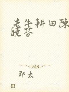 老牛耕田陈雪杨晓芬