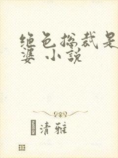 绝色总裁是我老婆 小说