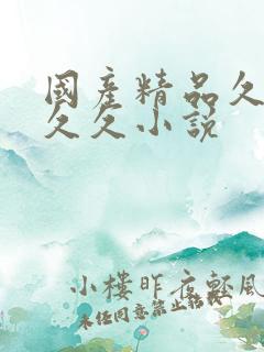 国产精品久久久久久小说