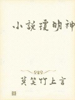 小说琼明神女录