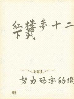 红楼梦十二金钗下载