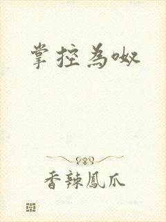 掌控为呶