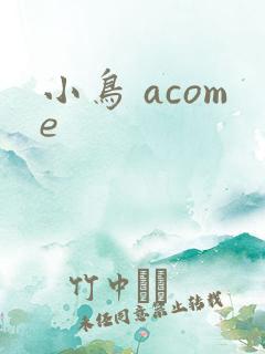 小鸟 acome