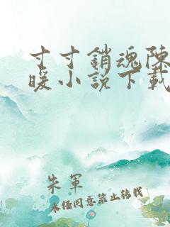 寸寸销魂陈聪王暖小说下载