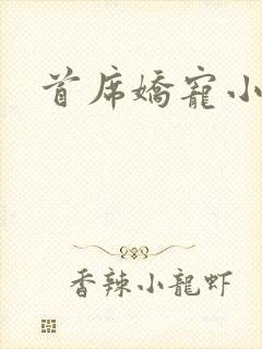 首席娇宠小情人