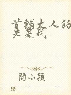 首辅大人的白月光是我