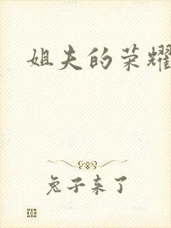 姐夫的荣耀全集