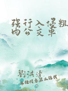 强行入侵粗暴h肉公交车