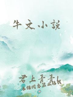 牛文小说