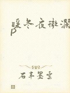 暖冬夜微澜VIP