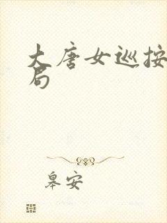 大唐女巡按大结局