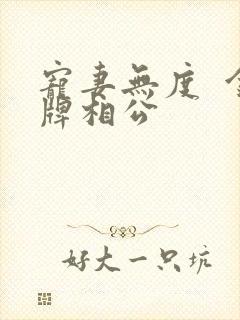 宠妻无度  金牌相公