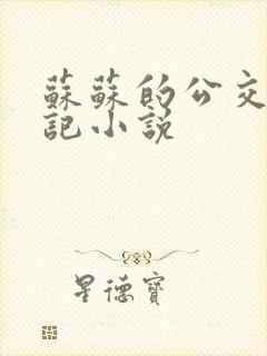 苏苏的公交车日记小说