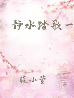 静水踏歌一流年