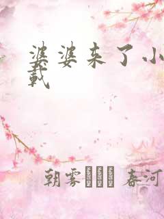 婆婆来了小说下载