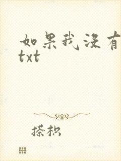 如果我没有爱过txt
