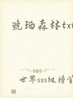 琥珀森林txt