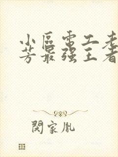 小区电工老周刘芳最强王者