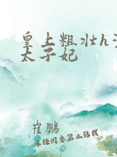 皇上粗壮h灌满太子妃