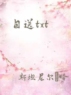 目送txt