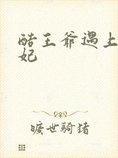 酷王爷遇上穿越妃