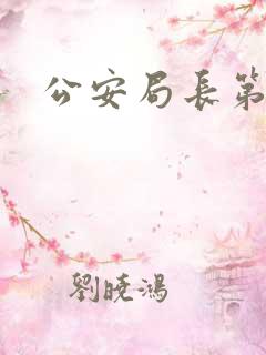 公安局长第四部