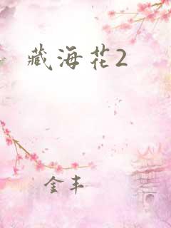 藏海花2