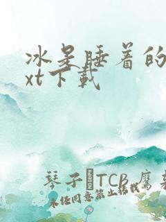 冰是睡着的水txt下载