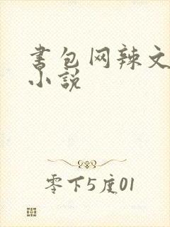 书包网辣文全本小说