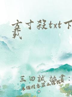 方寸杀txt下载