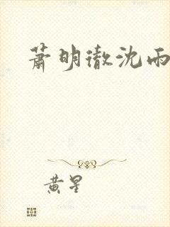 萧明彻沈雨燃