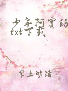 少年阿宾的故事txt下载