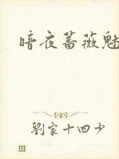暗夜蔷薇魅之伤