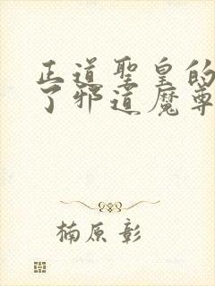 正道圣皇的我娶了邪道魔尊 小说