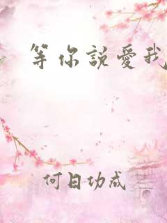 等你说爱我小说