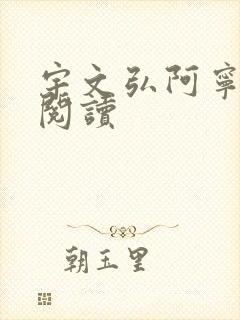 宇文弘阿宁全文阅读
