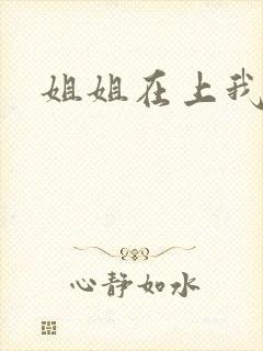 姐姐在上我在下