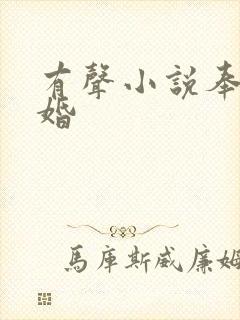 有声小说奉子成婚