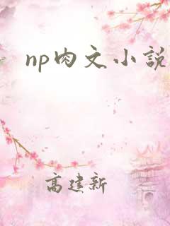 np肉文小说