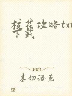 校花攻略txt下载