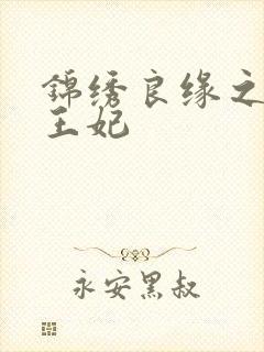 锦绣良缘之北地王妃