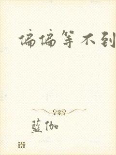 偏偏等不到小说