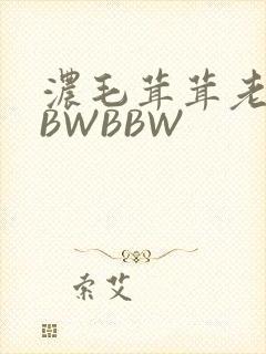 浓毛茸茸老太BBWBBW