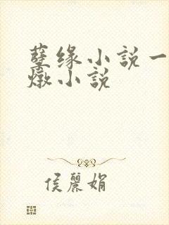 孽缘小说一家乱炖小说