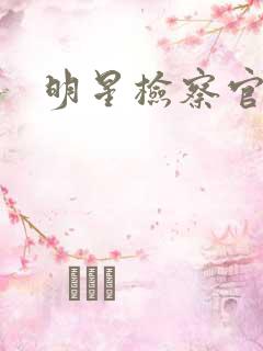 明星检察官小说