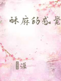 酥麻的感觉小说