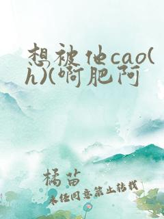 想被他cao(h)(啊肥阿